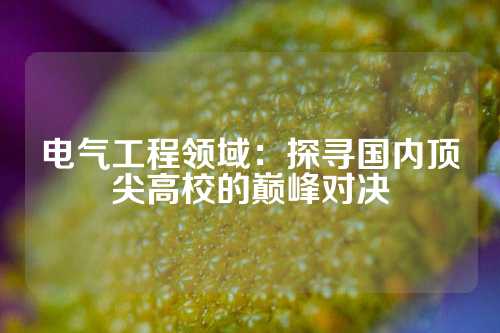 电气工程领域：探寻国内顶尖高校的巅峰对决