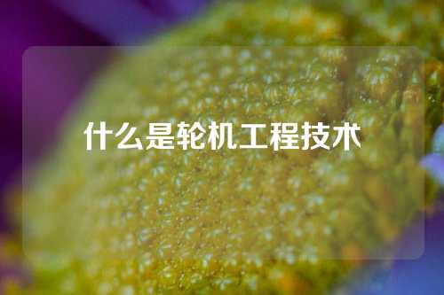 什么是轮机工程技术