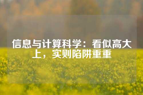 信息与计算科学：看似高大上，实则陷阱重重