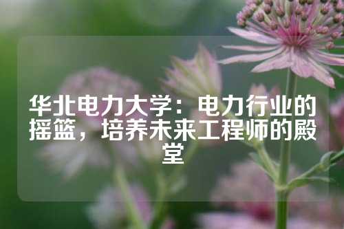 华北电力大学：电力行业的摇篮，培养未来工程师的殿堂