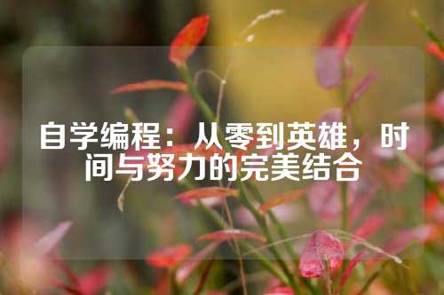自学编程：从零到英雄，时间与努力的完美结合