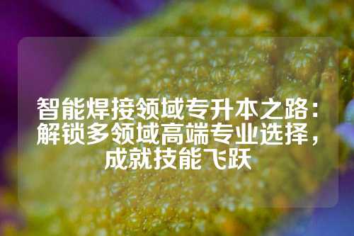 智能焊接领域专升本之路:解锁多领域高端专业选择,成就技能飞跃