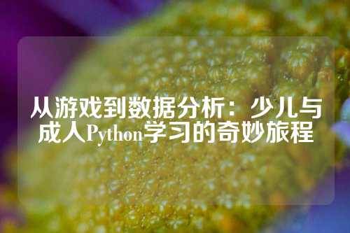 从游戏到数据分析：少儿与成人Python学习的奇妙旅程