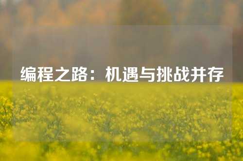 编程之路：机遇与挑战并存