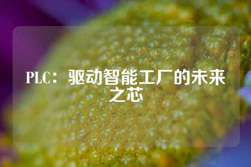 PLC：驱动智能工厂的未来之芯