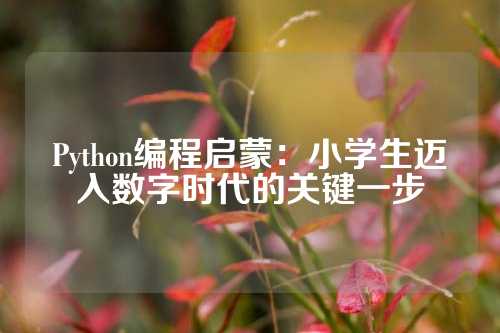 Python编程启蒙：小学生迈入数字时代的关键一步