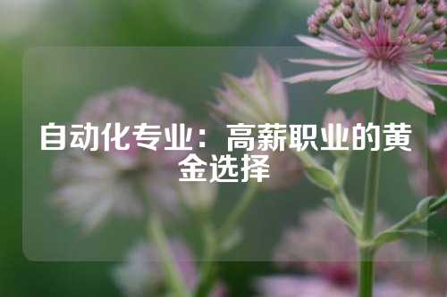 自动化专业：高薪职业的黄金选择