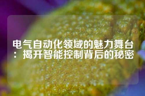 电气自动化领域的魅力舞台：揭开智能控制背后的秘密