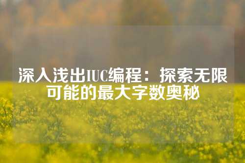 深入浅出IUC编程：探索无限可能的最大字数奥秘
