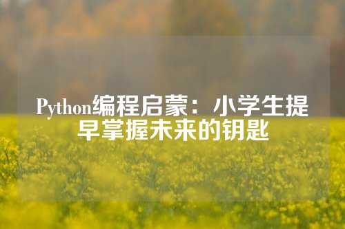 Python编程启蒙：小学生提早掌握未来的钥匙