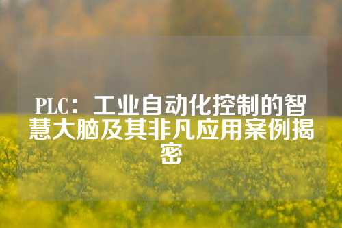 PLC：工业自动化控制的智慧大脑及其非凡应用案例揭密