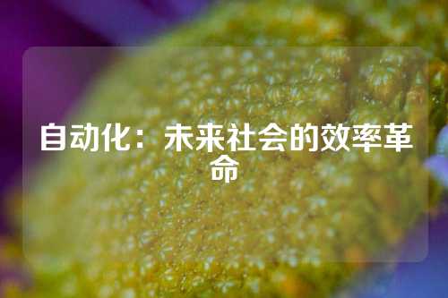 自动化：未来社会的效率革命