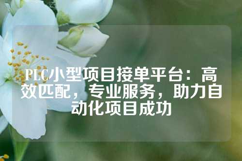 PLC小型项目接单平台：高效匹配，专业服务，助力自动化项目成功