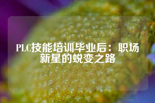 PLC技能培训毕业后：职场新星的蜕变之路