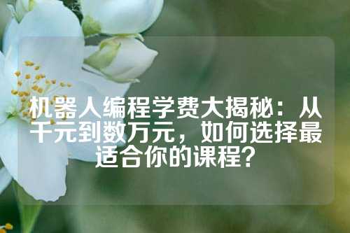 机器人编程学费大揭秘：从千元到数万元，如何选择最适合你的课程？