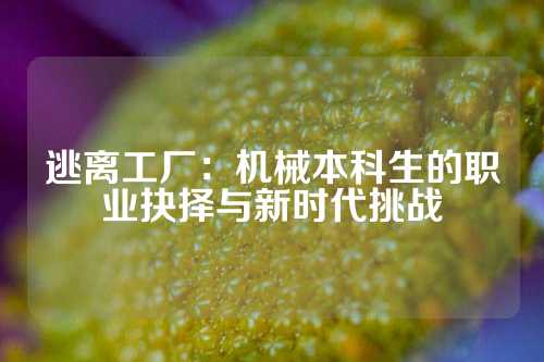 逃离工厂：机械本科生的职业抉择与新时代挑战