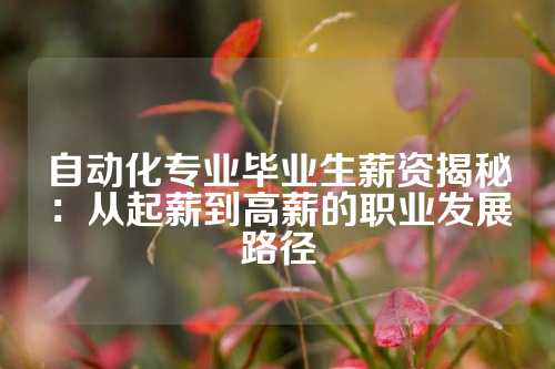 自动化专业毕业生薪资揭秘：从起薪到高薪的职业发展路径