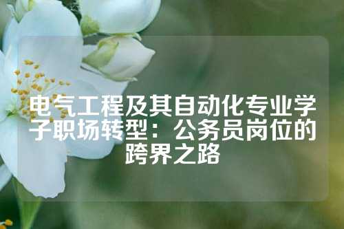 电气工程及其自动化专业学子职场转型：公务员岗位的跨界之路
