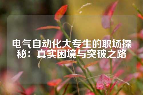 电气自动化大专生的职场探秘：真实困境与突破之路