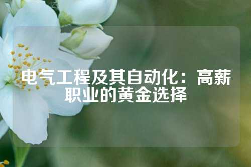 电气工程及其自动化:高薪职业的黄金选择