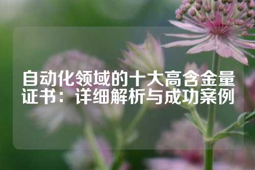 自动化领域的十大高含金量证书:详细解析与成功案例