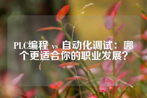 PLC编程 vs 自动化调试：哪个更适合你的职业发展？