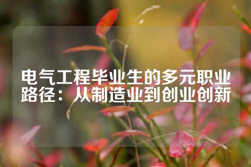 电气工程毕业生的多元职业路径：从制造业到创业创新