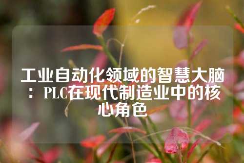 工业自动化领域的智慧大脑：PLC在现代制造业中的核心角色