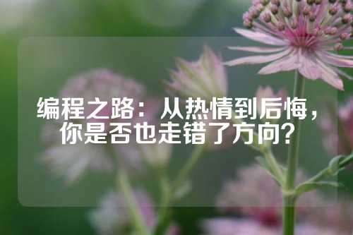 编程之路：从热情到后悔，你是否也走错了方向？