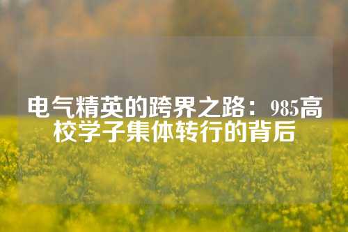 电气精英的跨界之路：985高校学子集体转行的背后