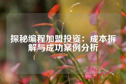 探秘编程加盟投资：成本拆解与成功案例分析