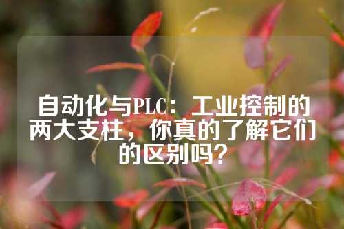 自动化与PLC：工业控制的两大支柱，你真的了解它们的区别吗？