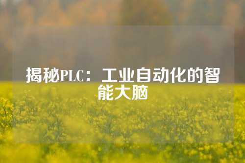 揭秘PLC：工业自动化的智能大脑