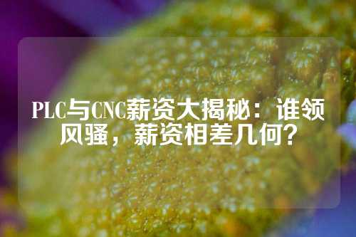 PLC与CNC薪资大揭秘：谁领风骚，薪资相差几何？