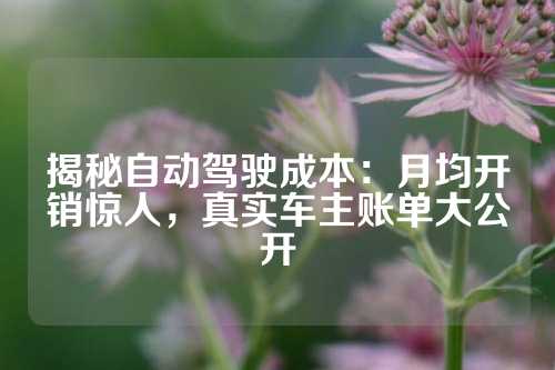 揭秘自动驾驶成本：月均开销惊人，真实车主账单大公开