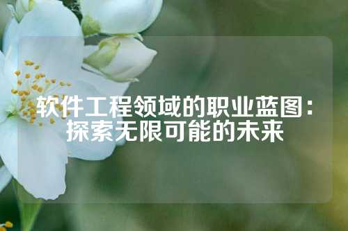 软件工程领域的职业蓝图：探索无限可能的未来