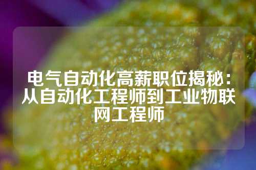 电气自动化高薪职位揭秘：从自动化工程师到工业物联网工程师