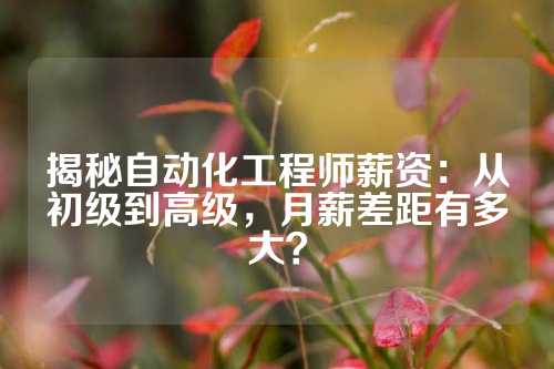 揭秘自动化工程师薪资：从初级到高级，月薪差距有多大？