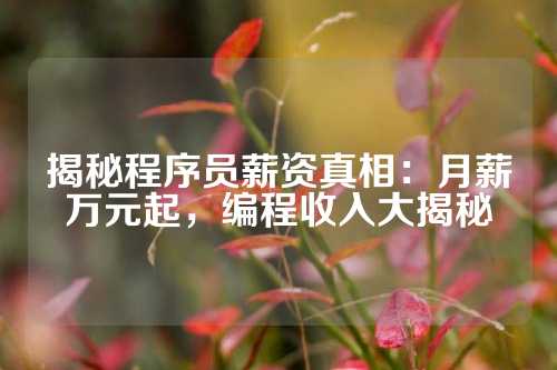 揭秘程序员薪资真相：月薪万元起，编程收入大揭秘
