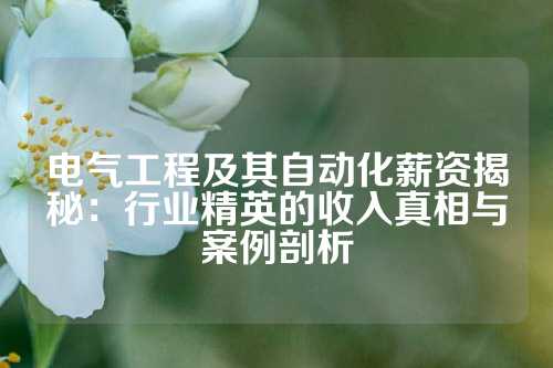 电气工程及其自动化薪资揭秘：行业精英的收入真相与案例剖析