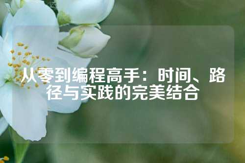 从零到编程高手：时间、路径与实践的完美结合