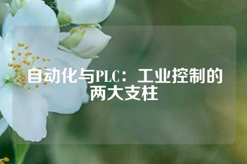 自动化与PLC：工业控制的两大支柱