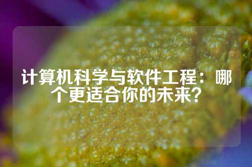 计算机科学与软件工程：哪个更适合你的未来？
