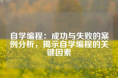 自学编程：成功与失败的案例分析，揭示自学编程的关键因素