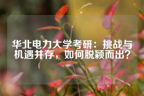 华北电力大学考研：挑战与机遇并存，如何脱颖而出？