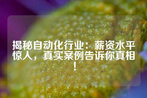 揭秘自动化行业：薪资水平惊人，真实案例告诉你真相！