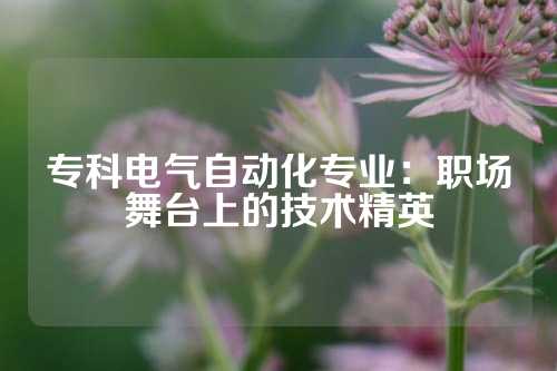 专科电气自动化专业：职场舞台上的技术精英