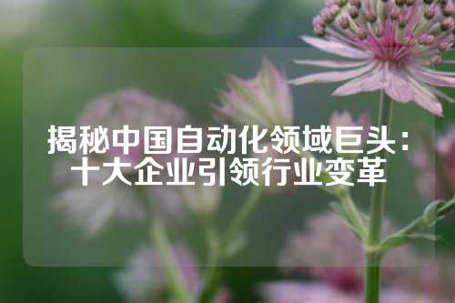 揭秘中国自动化领域巨头：十大企业引领行业变革