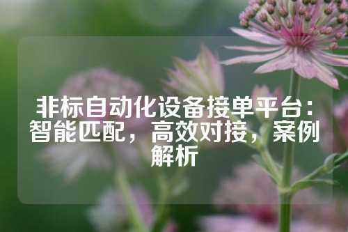 非标自动化设备接单平台：智能匹配，高效对接，案例解析