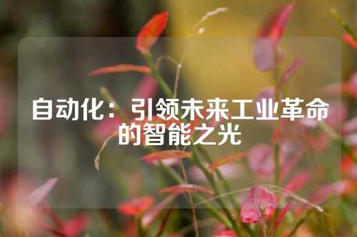 自动化：引领未来工业革命的智能之光